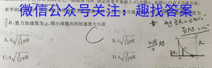 炎德英才大联考2025届高二年级10月联考q物理