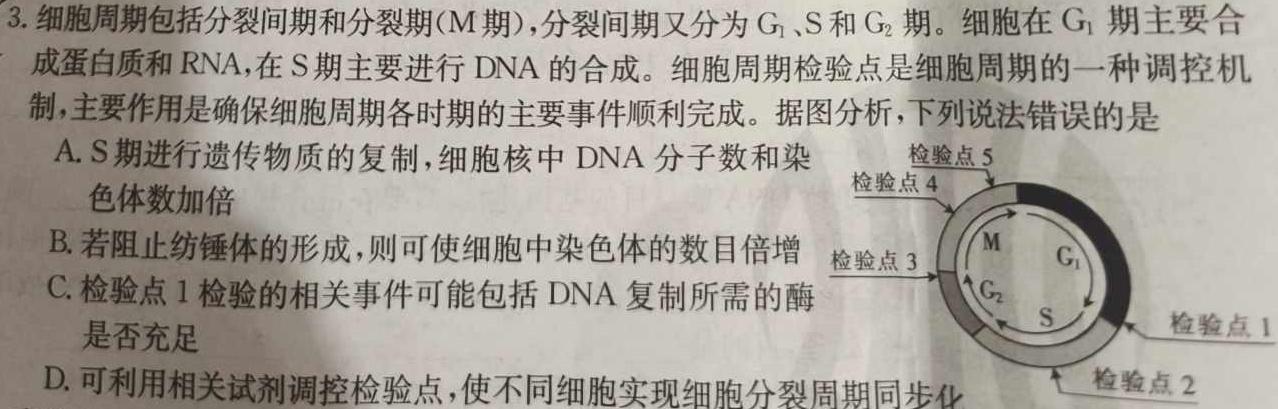 炎德英才大联考长沙市一中2024届高三月考试卷(三)生物学试题答案