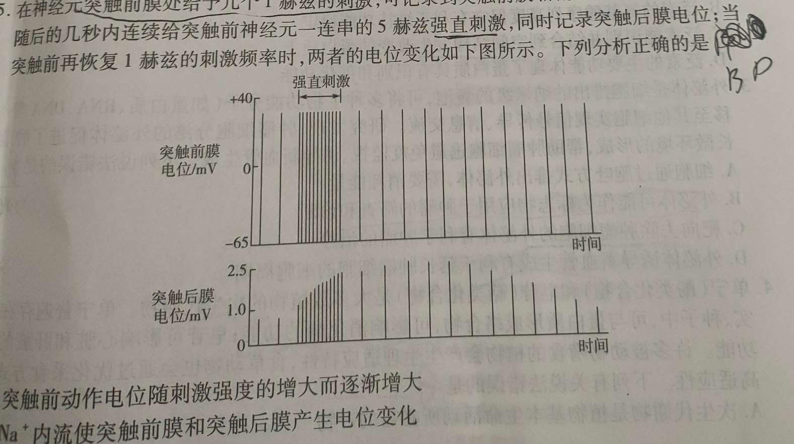 河北省2023~2024学年高三(上)第三次月考(24-53C)生物