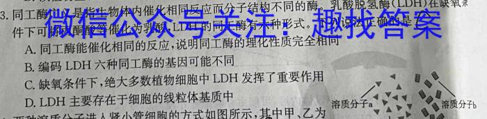 衡水金卷先享题月考卷 2023-2024高三二调考试生物