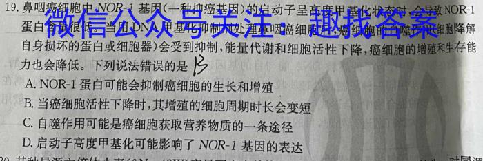 山西省九年级2023-2024学年新课标闯关卷（六）SHX生物试卷答案