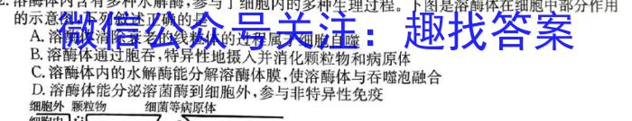 山西省吕梁市2024届九年级上学期月考生物试卷答案