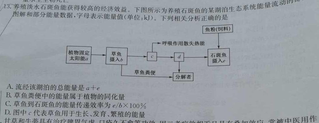 2024届吉林省白城毓才实验高中高三阶段考(4041C)生物