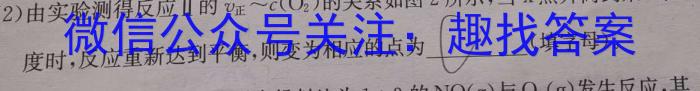 j江苏省泰州市兴化市2024年秋学期期初学业质量评价（九年级）化学