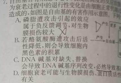 山西省2023-2024九年级第一学期阶段性练习(一)生物