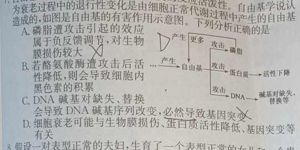 2024届贵州省高三年级9月联考(23-47C)生物学试题答案