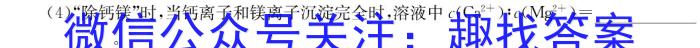 3山西省九年级2023-2024学年新课标闯关卷（九）SHX化学