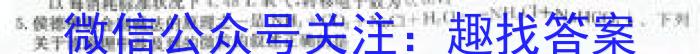 b九师联盟2024届全国高三单元定向检测卷(新教材KH)(5)化学