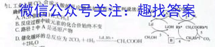j［河南大联考］2023-2024年度河南省高三一轮复习阶段性检测（三）化学