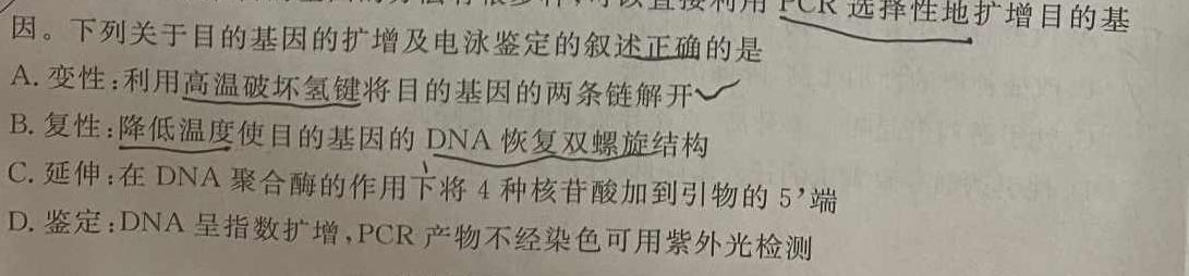 怀仁一中高二年级2023-2024学年上学期第二次月考(24092B)生物