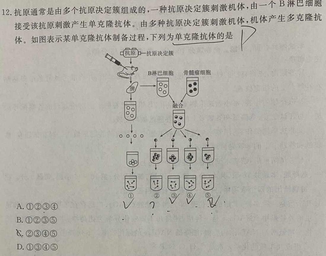 河北省质检联盟2023-2024学年高二（上）第一次月考生物学试题答案