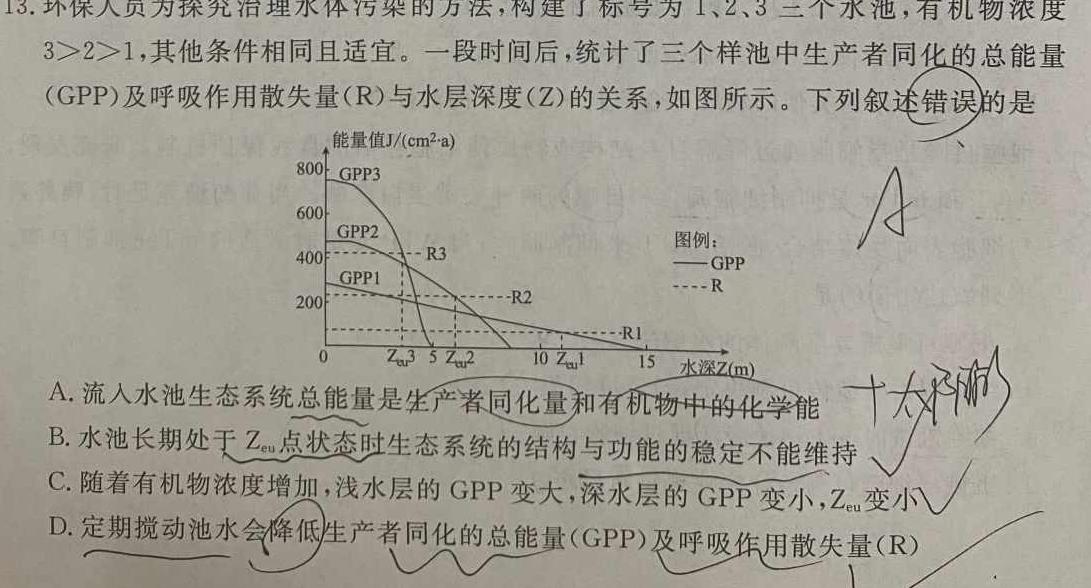 2024届九师联盟9月高三开学考(新教材-L)G生物学试题答案