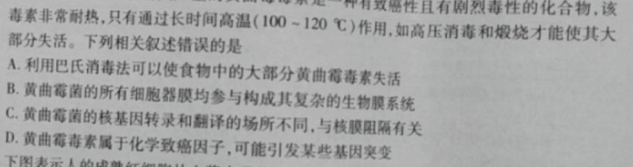 2023年皖东智校协作联盟高三10月联考生物