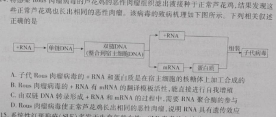 九师联盟 2024届高三9月质量检测巩固卷LG生物