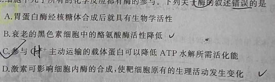 2024全国高考分科综合卷 老高考(一)1生物