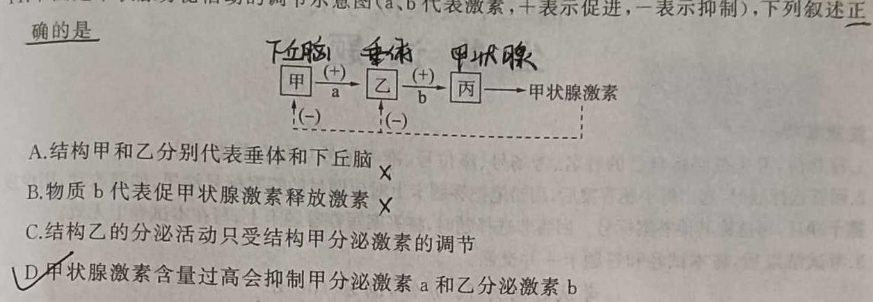 陕西省2023-2024学年高中毕业班阶段性测试（一）生物学试题答案