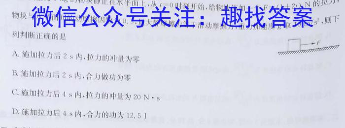 佩佩教育·2024年普通高校招生统一考试湖南10月高三联考卷l物理