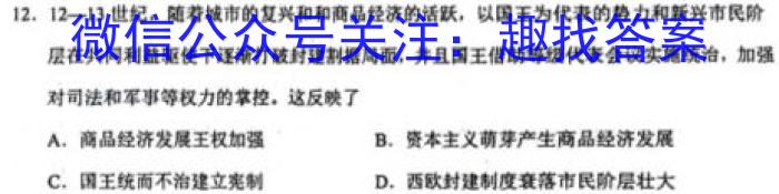佩佩教育2024年普通高校招生统一考试 湖南10月高三联考卷历史试卷