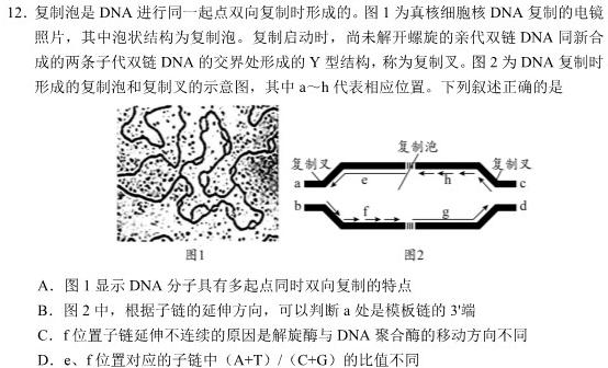 九师联盟 2024届高三9月质量检测巩固卷XG生物