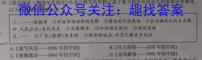 皖智·全程达标卷·安徽第一卷·2023-2024学年九年级单元检测卷历史