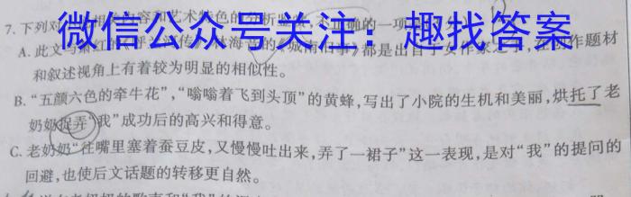 [今日更新]2024届河南省高三阶段性考试(24-68C)语文