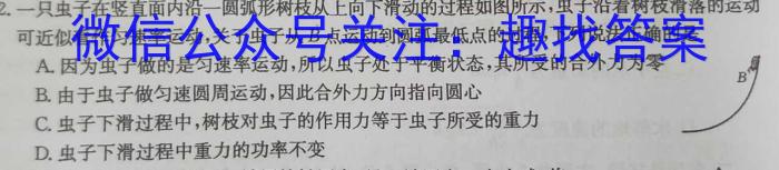 江西省2023-2024学年度九年级阶段性练习（一）l物理