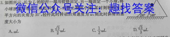 河北省新时代NT教育2023-2024学年第一学期9月高三阶段测试卷z物理