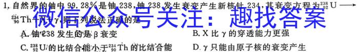 2024届新高考模拟检测卷XKB(四)物理`