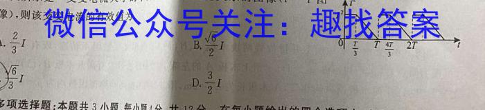 河南省2024届九年级阶段评估（一）【1LR】物理`