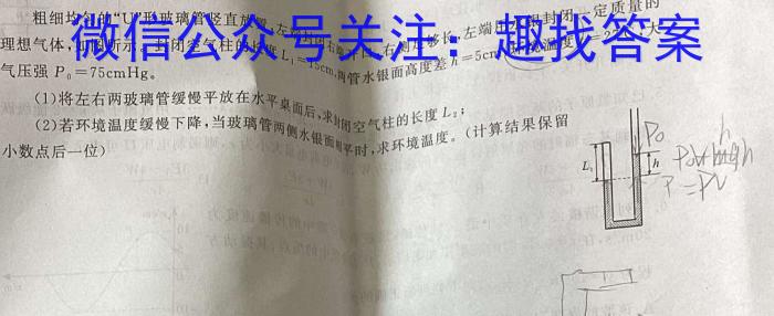 云南省2025届高二年级9月月考卷q物理