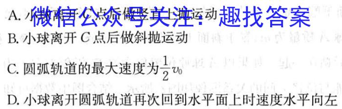 宜荆荆恩2024届高三起点考试(2023.9)z物理