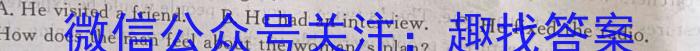 山西省九年级2023-2024学年新课标闯关卷（九）SHX英语