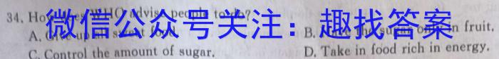 2024届全国高考分科调研模拟测试卷 老高考(六)英语试题