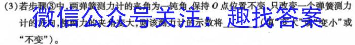 陕西省2023-2024学年度九年级第一学期阶段性学习效果评估（二）l物理