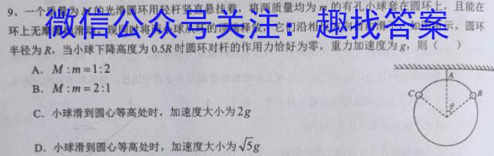 金科大联考2025届高二10月质量检测物理`