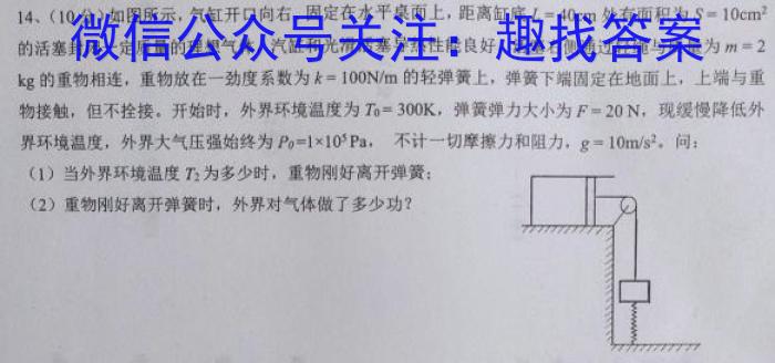 桂柳文化 2024届高考桂柳鸿图模拟金卷(二)f物理