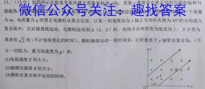 贵州省2024届贵州七校联盟高考实用性联考卷(一)1(白黑白黑黑黑白)q物理