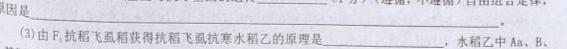 2024届重庆市巴蜀中学高考适应性月考(二)生物