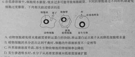 衡水名师卷 2023-2024学年度高三分科检测提分卷(二)生物