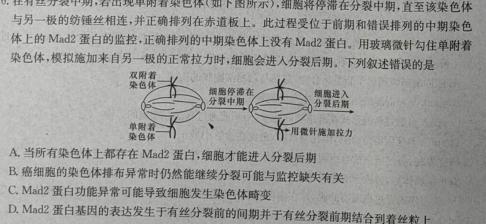 名校联考·2024届高三总复习·月考卷(二)生物