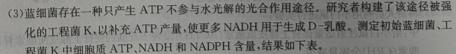 佩佩教育·2024年普通高校招生统一考试湖南10月高三联考卷生物