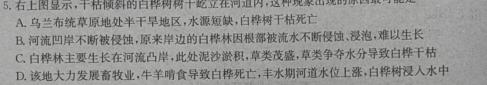 云南省2023年秋季学期高二第一次月考(24-37B)政治y