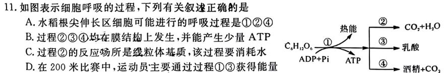 陕西省2023-2024学年度九年级第一学期阶段性学习效果评估(一)生物