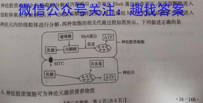 2023-2024学年安徽省九年级教学质量检测（一）生物试卷答案