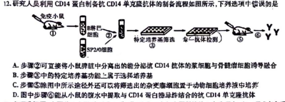 安徽省2024届高三10月质量检测卷生物学试题答案