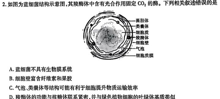 江西省2023-2024学年度七年级阶段性练习（一）生物学试题答案