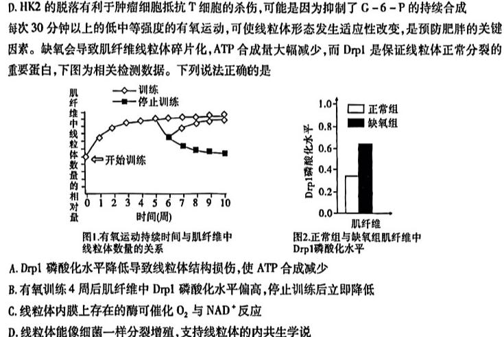 超级全能生·名校交流2024届高三第一次联考(9月)生物学试题答案