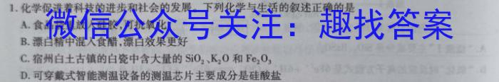 1河北省2024届九年级阶段评估(一) 1L R化学
