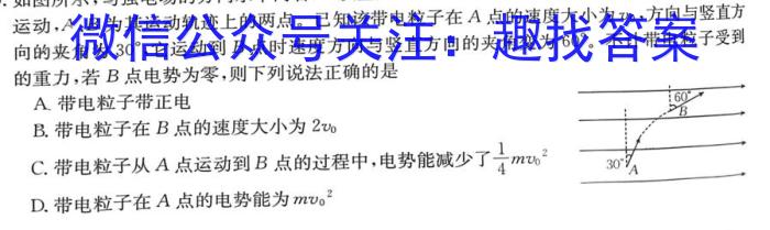 山西省2024届九年级阶段评估(一)1 1L Rq物理