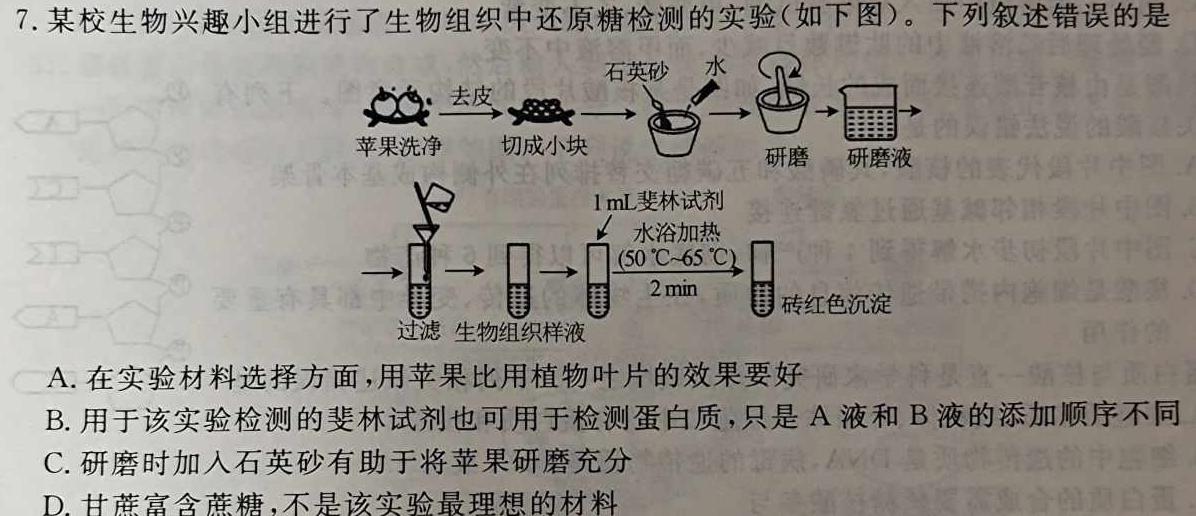 2024届全国高考分科模拟检测示范卷（一）XGK生物